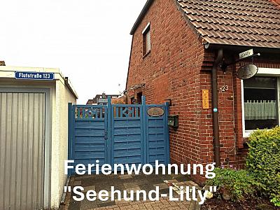 FeWo Seehund Lilly